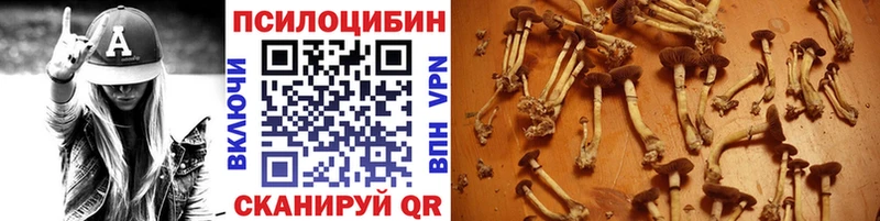 Галлюциногенные грибы ЛСД  Купить  Казань 